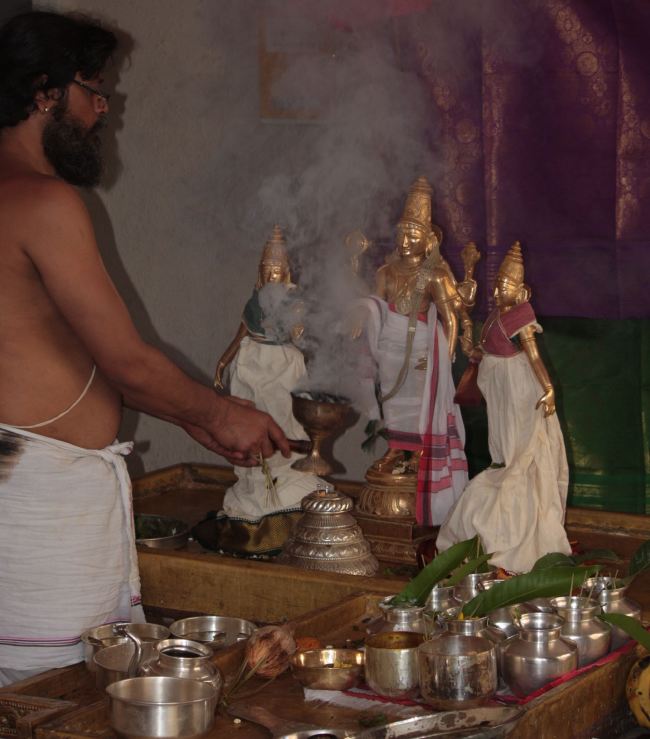 Pune Sri balaji mandir Vanamahotsavam 2015 -08