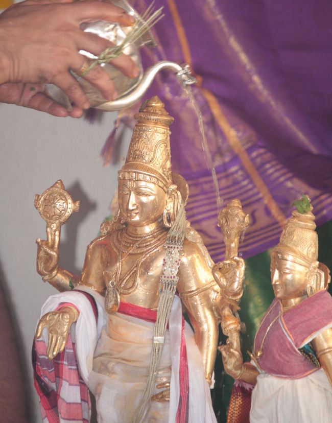 Pune Sri balaji mandir Vanamahotsavam 2015 -10