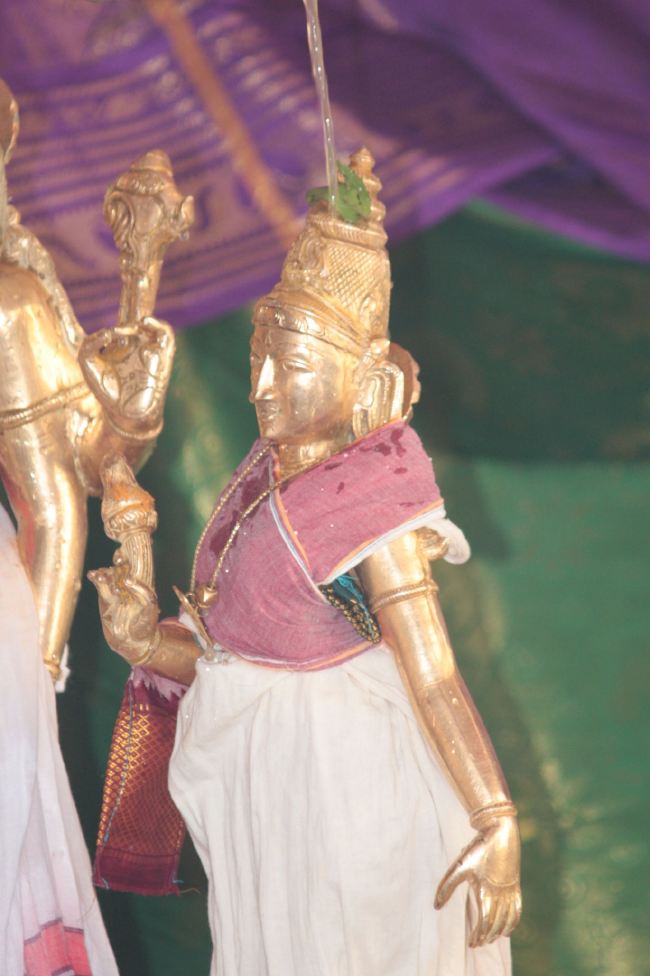 Pune Sri balaji mandir Vanamahotsavam 2015 -11