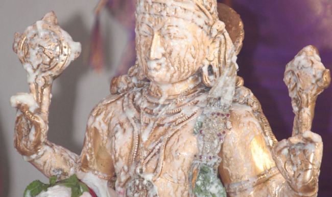 Pune Sri balaji mandir Vanamahotsavam 2015 -16