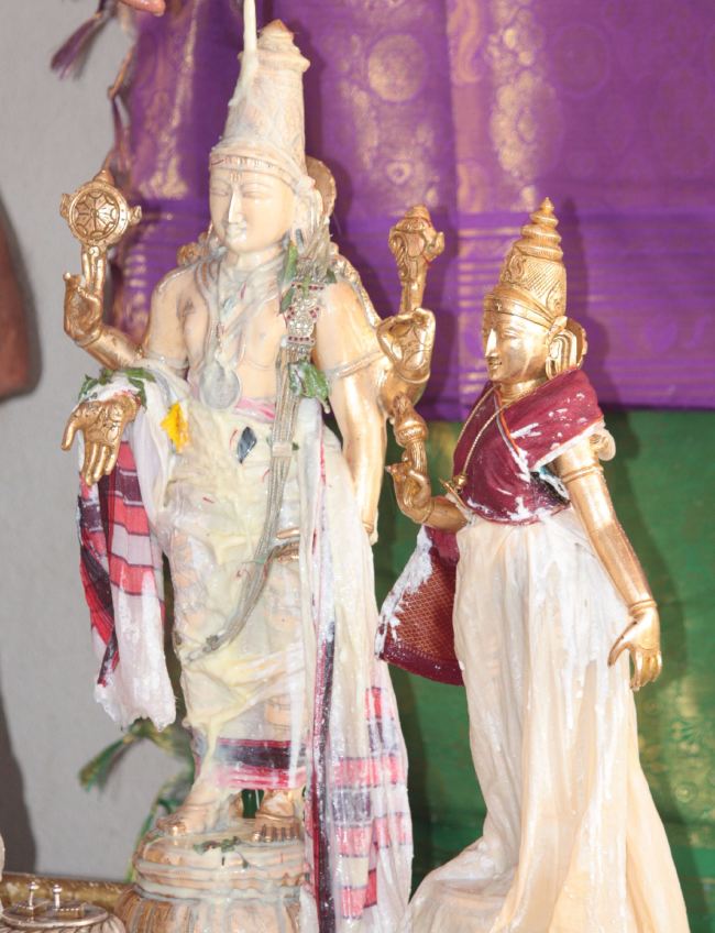 Pune Sri balaji mandir Vanamahotsavam 2015 -20