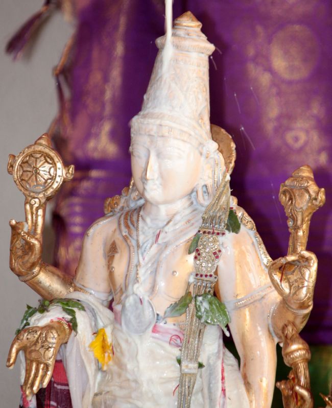 Pune Sri balaji mandir Vanamahotsavam 2015 -21
