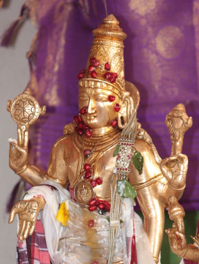 Pune Sri balaji mandir Vanamahotsavam 2015 -24