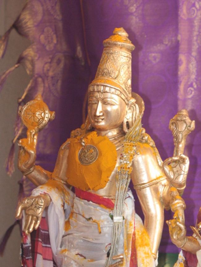 Pune Sri balaji mandir Vanamahotsavam 2015 -26