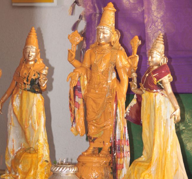 Pune Sri balaji mandir Vanamahotsavam 2015 -27