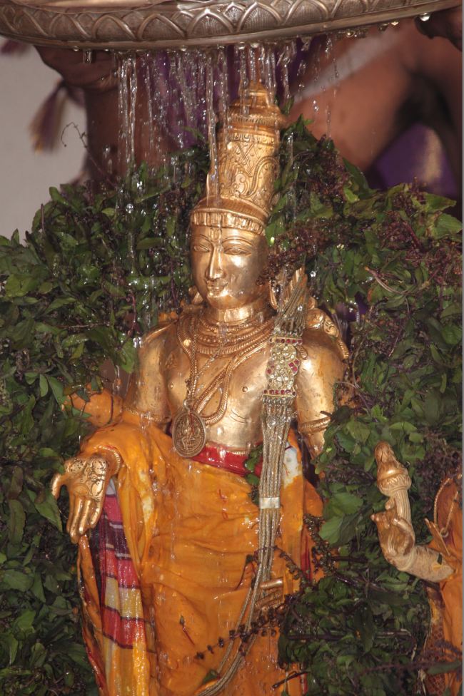 Pune Sri balaji mandir Vanamahotsavam 2015 -33