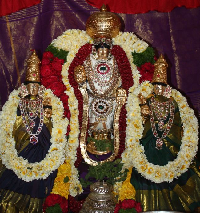 Pune Sri balaji mandir Vanamahotsavam 2015 -41