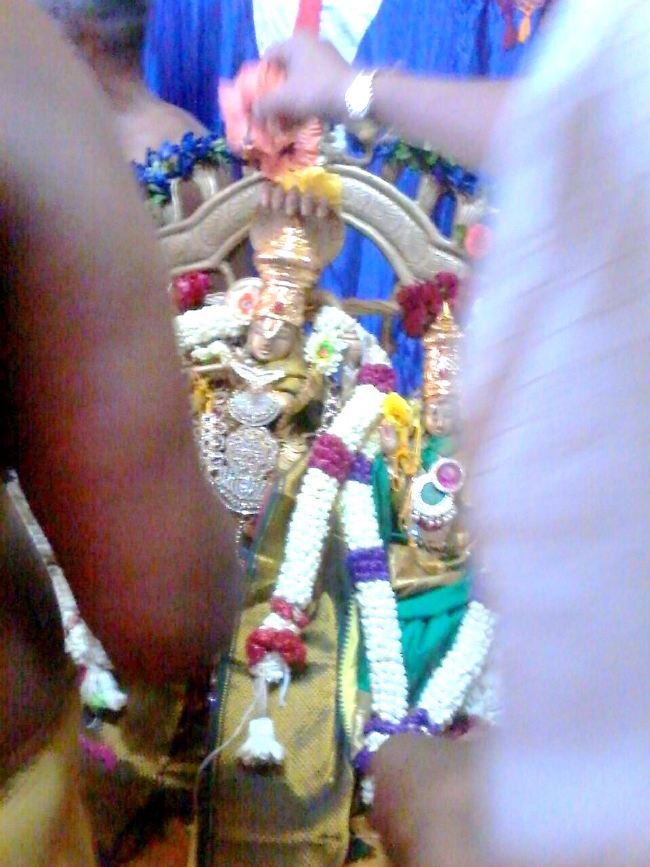 Punjai Puliyampatty Sri Karivaradaraja Perumal Temple Masi maga Thirukalyana Utsavam  2015 -10