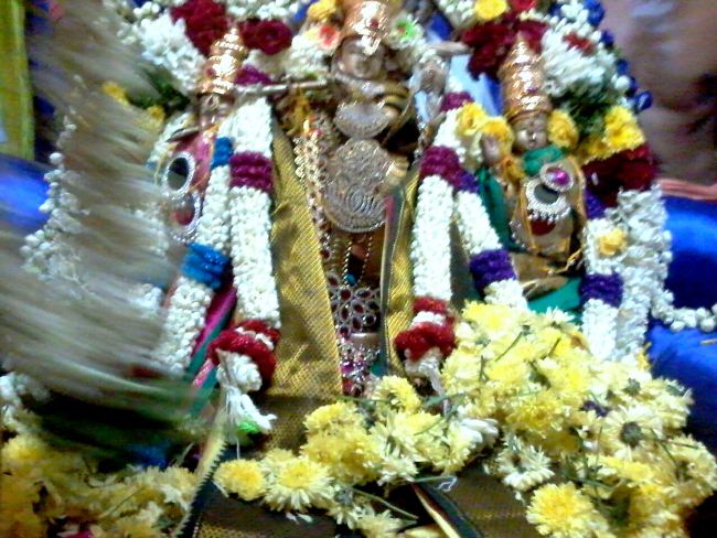 Punjai Puliyampatty Sri Karivaradaraja Perumal Temple Masi maga Thirukalyana Utsavam  2015 -11