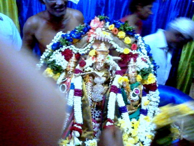Punjai Puliyampatty Sri Karivaradaraja Perumal Temple Masi maga Thirukalyana Utsavam  2015 -12