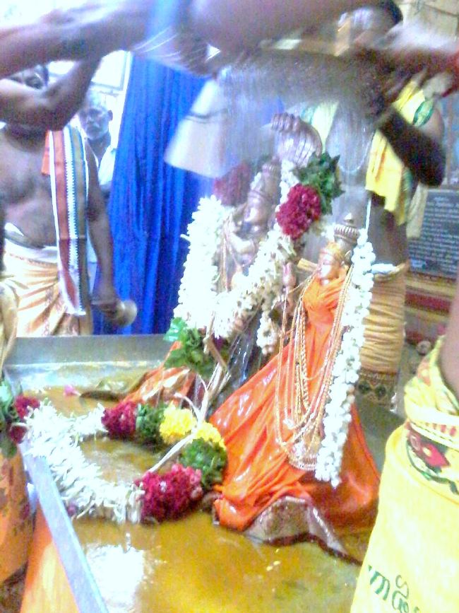 Punjai Puliyampatty Sri Karivaradaraja Perumal Temple Masi maga Thirukalyana Utsavam  2015 -17