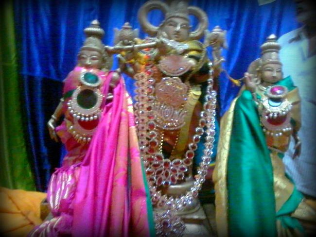 Punjai Puliyampatty Sri Karivaradaraja Perumal Temple Masi maga Thirukalyana Utsavam  2015 -18
