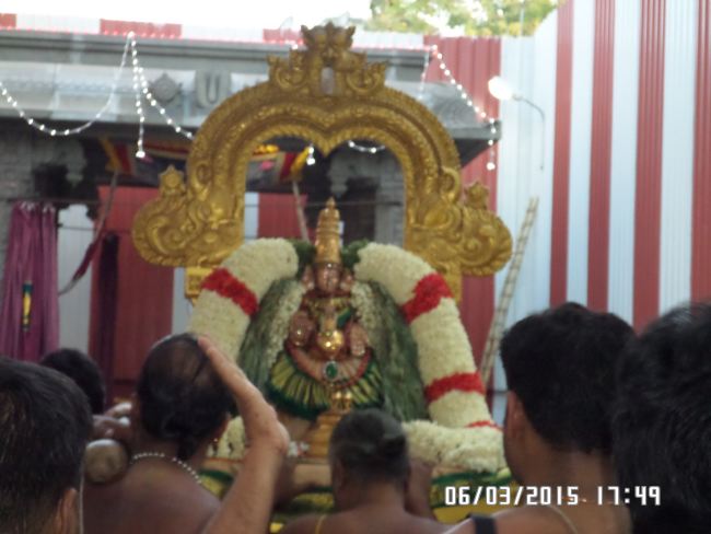 SVDD Alarmelmangai Thayar Masi Friday Purappadu 2015 -14