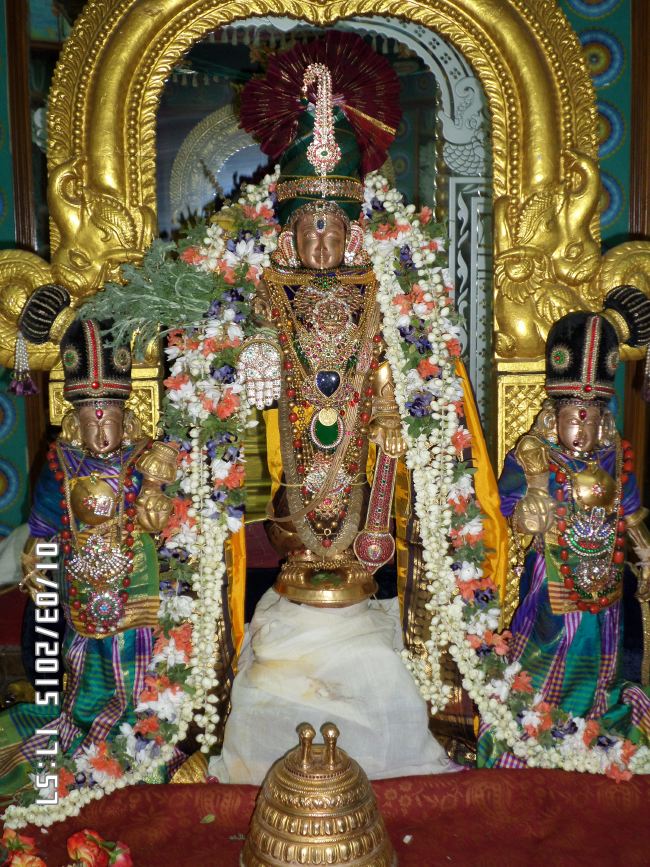 SVDD Srinivasa Perumal Kovil Kulasekara Azhwar Thirunakshatra uTsavam  2015 -04