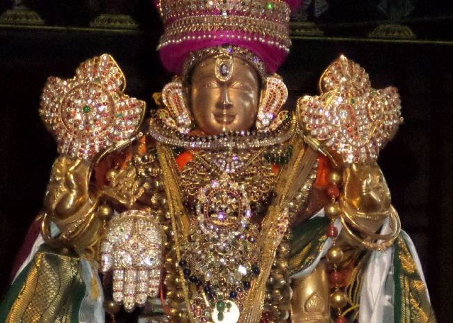 SVDD Srinivasa Perumal Temple Dhavanotsavam day 2 2015 -02