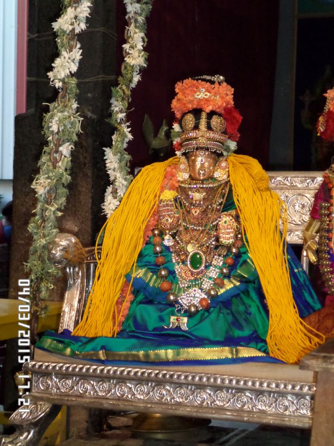 SVDD Srinivasa Perumal Temple Dhavanotsavam day 2 2015 -05