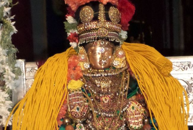 SVDD Srinivasa Perumal Temple Dhavanotsavam day 2 2015 -07