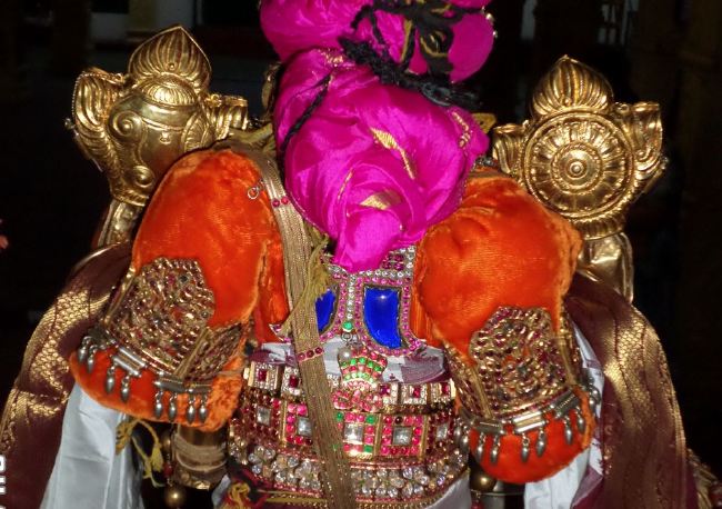 SVDD Srinivasa Perumal Temple Dhavanotsavam day 2 2015 -16