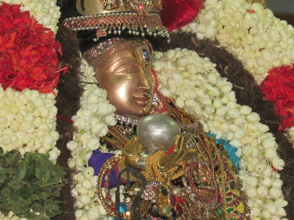 SVDD Srinivasa Perumal Vanabhojana Utsavam 2015