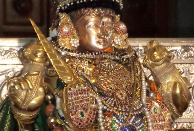 SVDD Srinivasa Perumal temple Dhavanotsavam day 1 2015 -10
