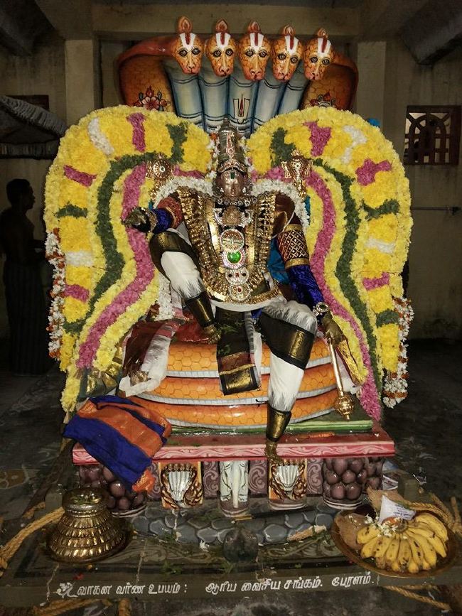 Sirupuliyur Krupasamudra Perumal Avatara Dhina Utsavam   2015 -3