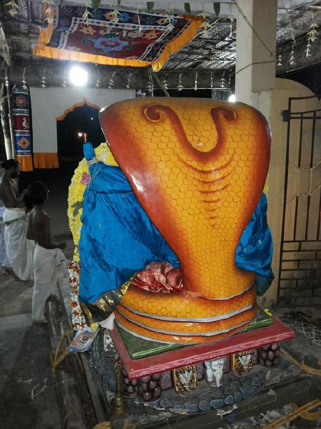 Sirupuliyur Krupasamudra Perumal Avatara Dhina Utsavam   2015 -5