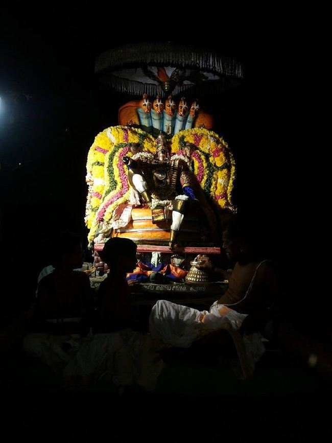 Sirupuliyur Krupasamudra Perumal Avatara Dhina Utsavam   2015 -6
