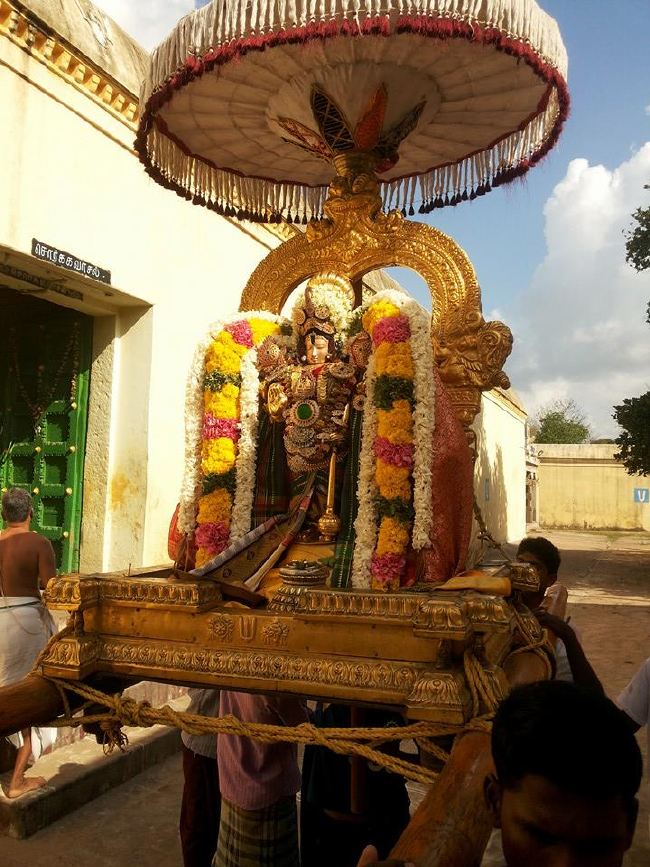 Sirupuliyur Krupasamudra Perumal Avatara Dhina Utsavam Purappadu   2015 -01