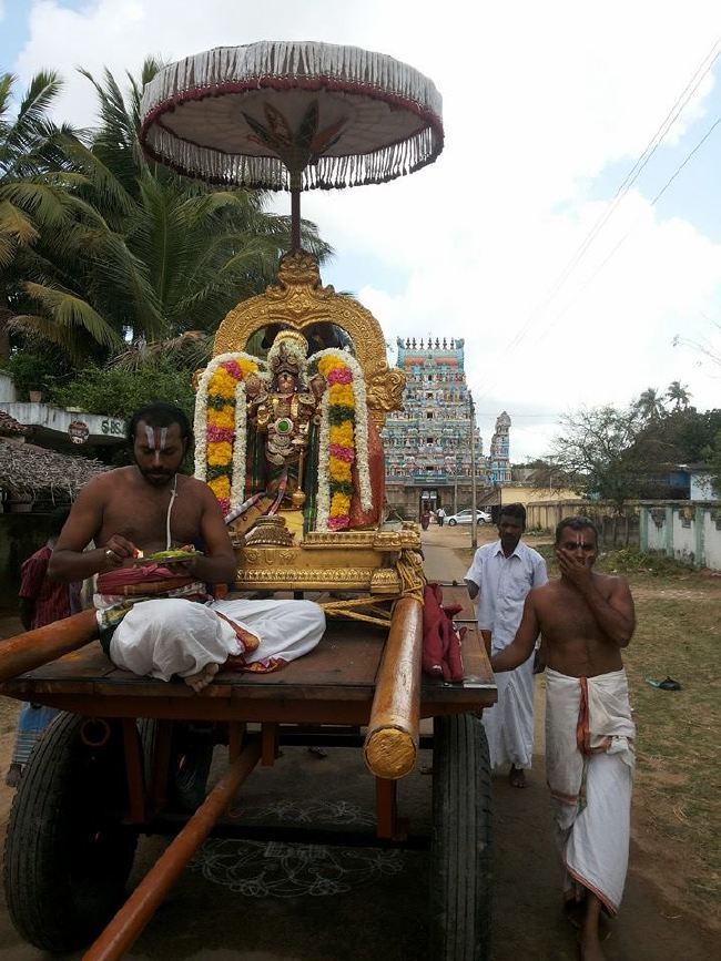 Sirupuliyur Krupasamudra Perumal Avatara Dhina Utsavam Purappadu   2015 -02