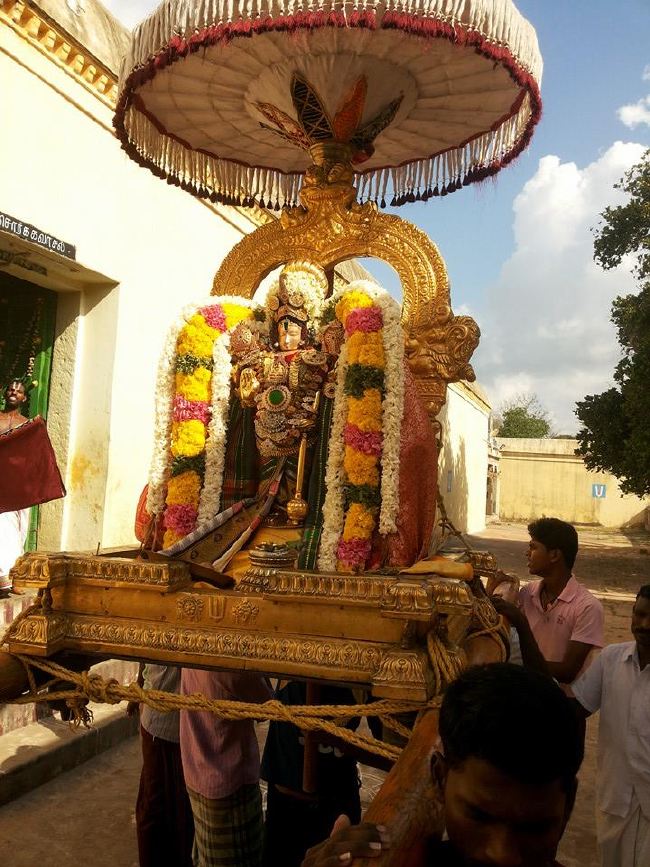Sirupuliyur Krupasamudra Perumal Avatara Dhina Utsavam Purappadu   2015 -05