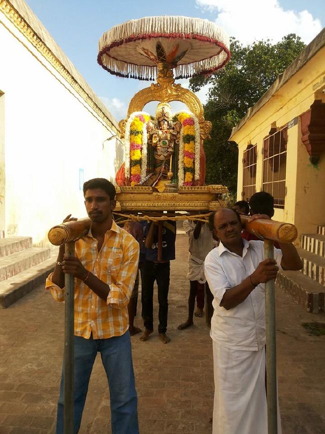 Sirupuliyur Krupasamudra Perumal Avatara Dhina Utsavam Purappadu   2015 -07