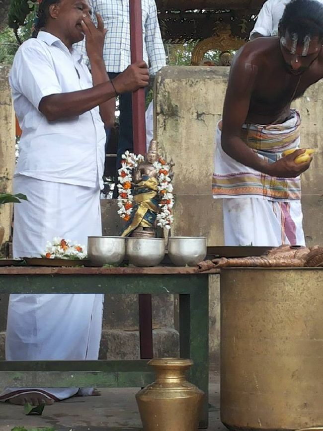 Sirupuliyur Krupasamudra Perumal Avatara Dhina Utsavam Purappadu   2015 -12