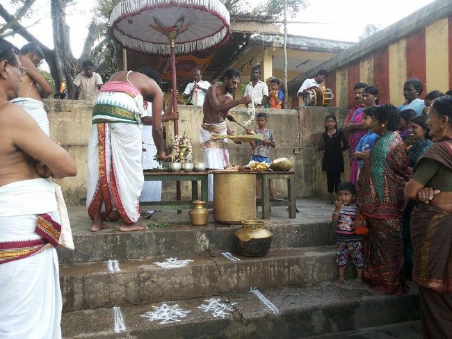 Sirupuliyur Krupasamudra Perumal Avatara Dhina Utsavam Purappadu   2015 -13