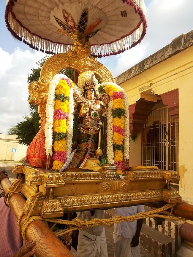 Sirupuliyur Krupasamudra Perumal Avatara Dhina Utsavam Purappadu   2015 -15