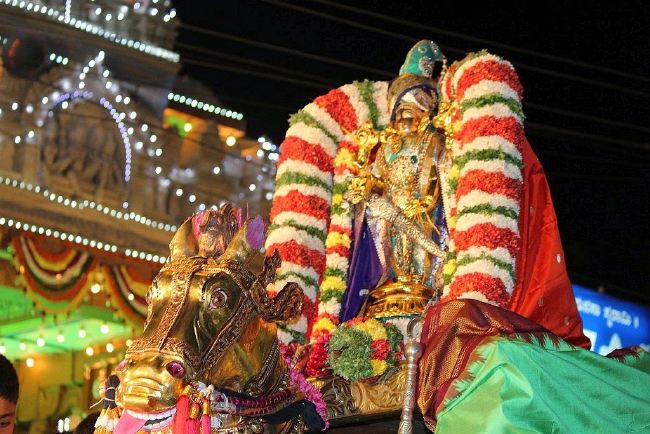 Sree Tirumalagiri Lakshmi Venkateshwara Swamy  Brahmotsavam Kudhirai Vahanam  2015 -14