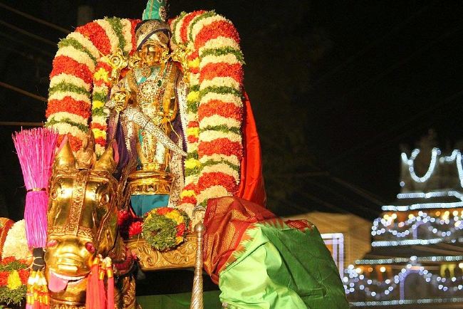 Sree Tirumalagiri Lakshmi Venkateshwara Swamy  Brahmotsavam Kudhirai Vahanam  2015 -17