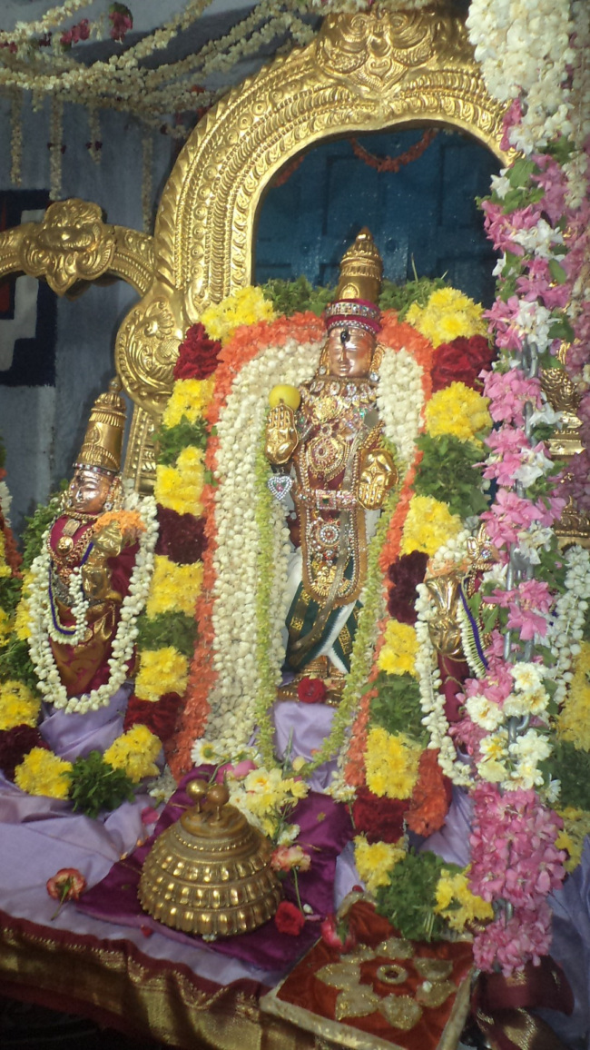Sri Azhagia Singaperumal  (11)