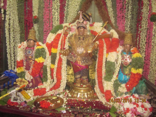 Sri Rajagopala Swamy Kannad Sevai (14)