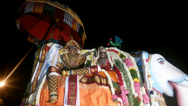 Sri Rajagopala Swamy mrng Yanai vahanam (2)