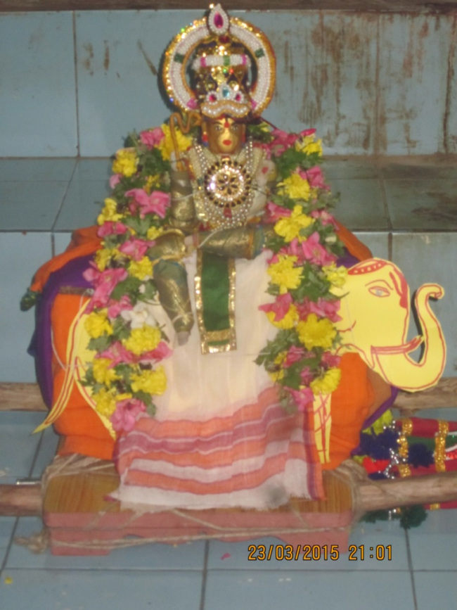 Sri Rajagopala swamy even  yaanai vahanam (20)