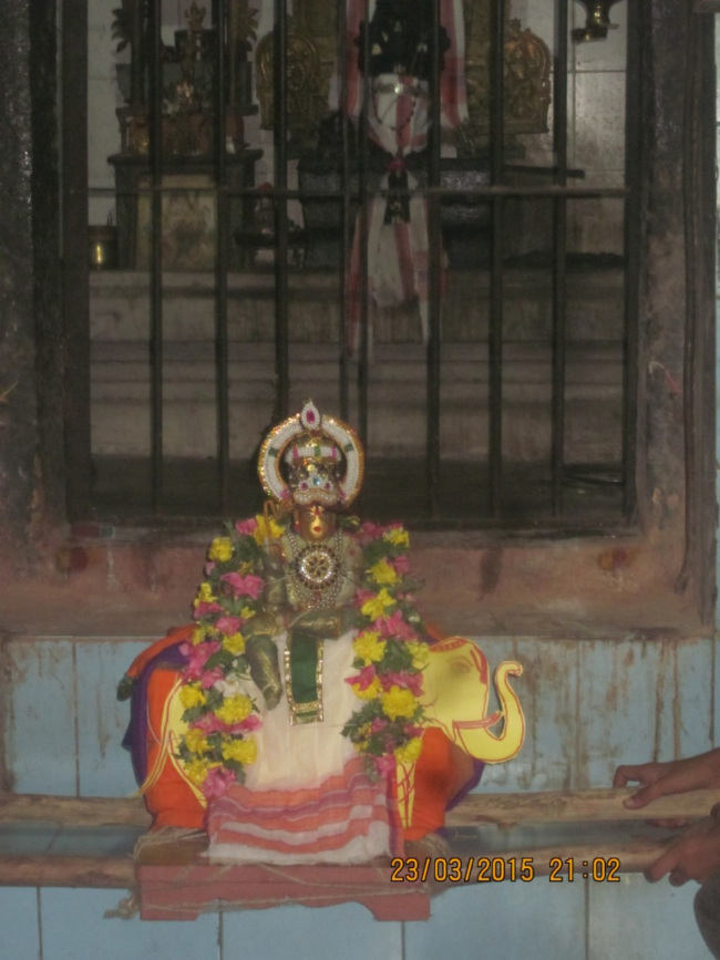 Sri Rajagopala swamy even  yaanai vahanam (21)