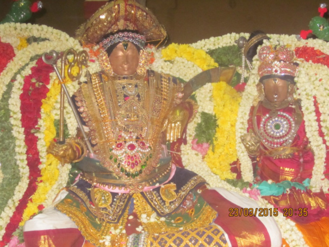 Sri Rajagopala swamy even  yaanai vahanam (3)