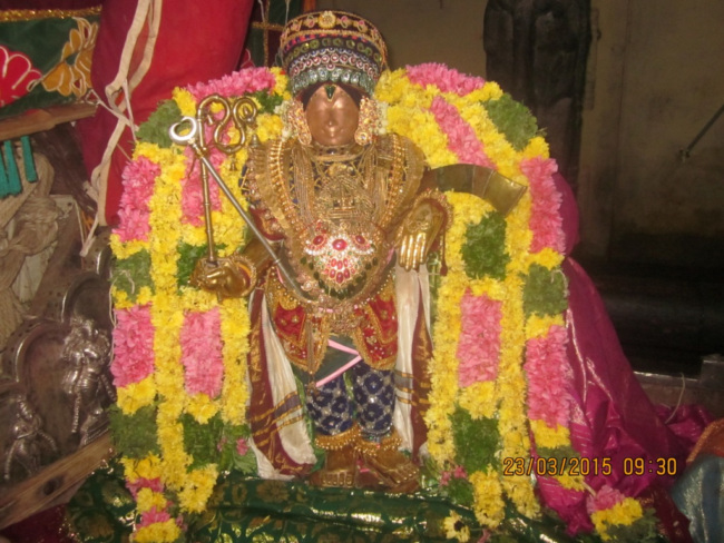 Sri Rajagopla Swamy Pallaku (29)