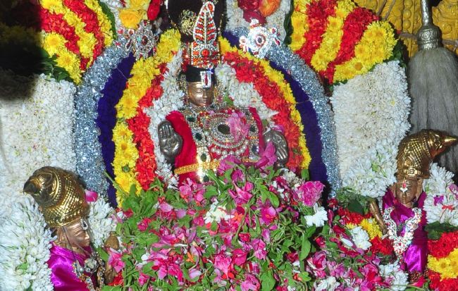 Sri Thirumal Seva sangam 14th  annivesary and Thirukachi nambi thirunakshatra utsavam 2015 -22