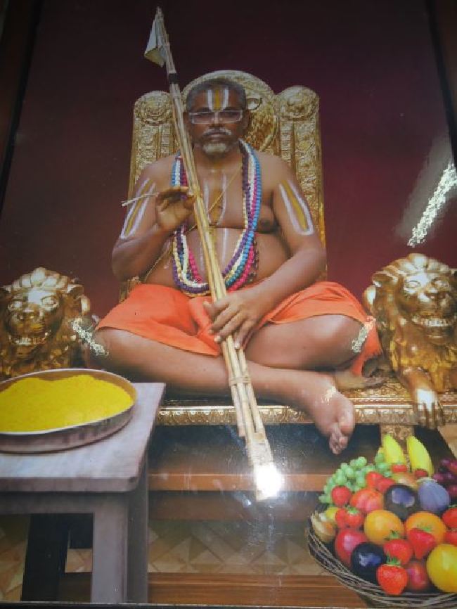 Srimath Azhagiyasingar Masi  Masa Thirunakshatra Utsavam 2015 -04