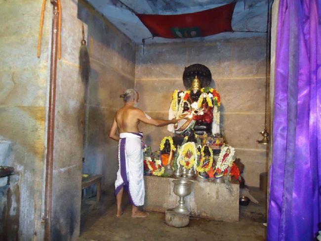 Srimath Azhagiyasingar Masi  Masa Thirunakshatra Utsavam 2015 -05