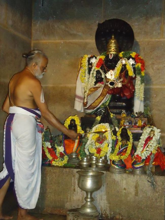 Srimath Azhagiyasingar Masi  Masa Thirunakshatra Utsavam 2015 -07