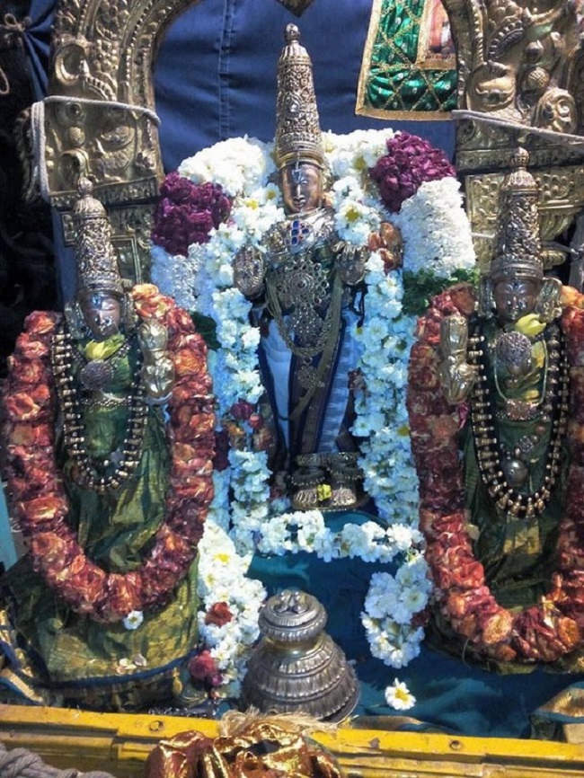 Sriperumbudur Sri Adikesava Perumal Temple Masi Magam Utsavam8