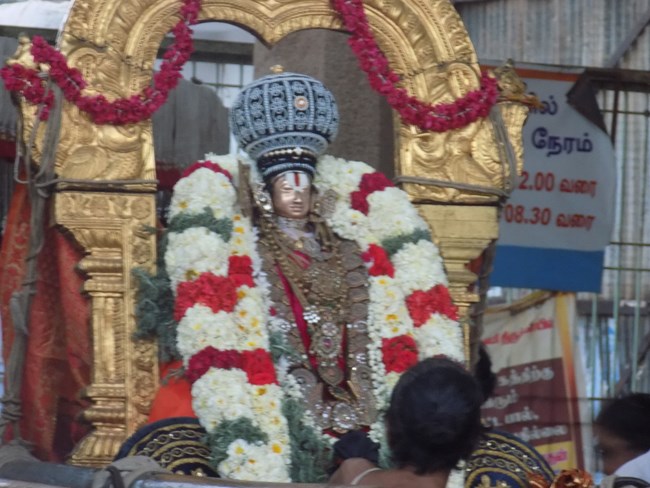 Sriperumbudur Swami Ramanujar Masi Thiruvadirai Purappadu1