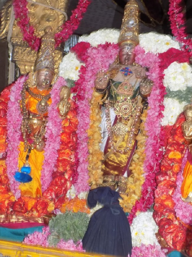 Sriperumbudur Swami Ramanujar Masi Thiruvadirai Purappadu10